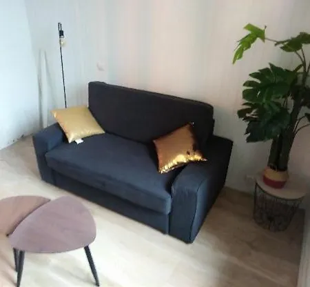 Le Lumineux Et Atypique Apartment
